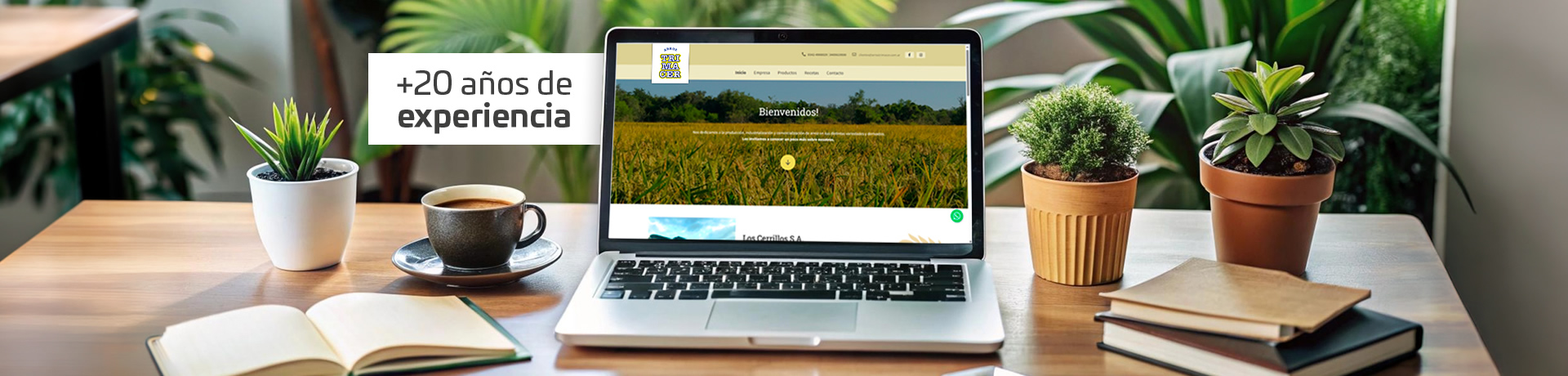 +20 años de experiencia